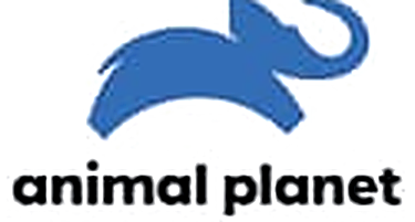 Animal Planet
